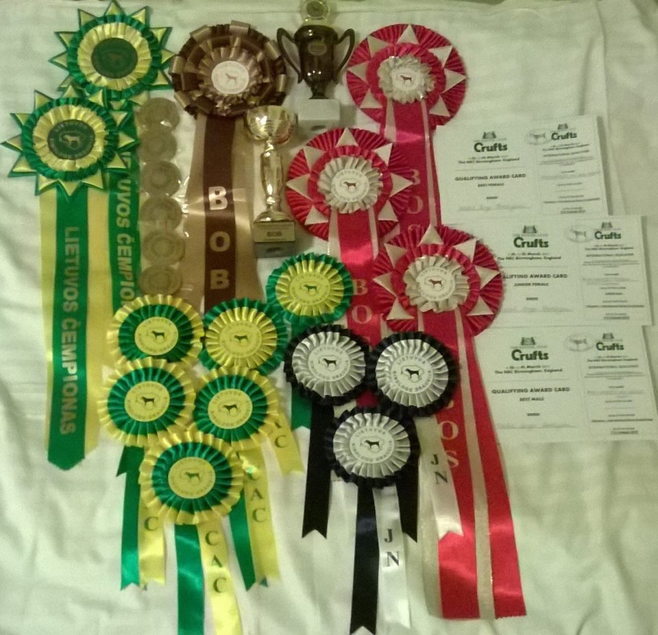 13903170_10154330328688936_2186806223820676578_n