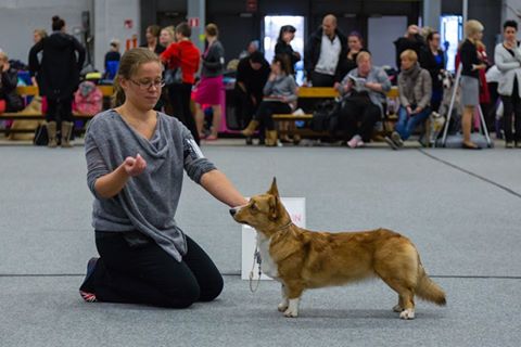 15439954_10210651169943056_1061892271576047773_n