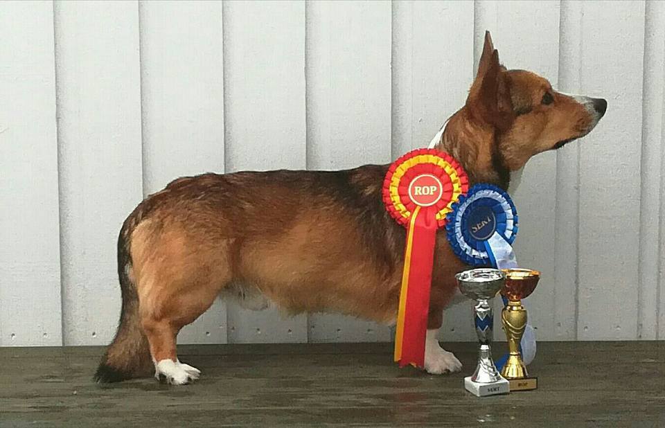 18056646_10155290545727360_5097839538671462899_n